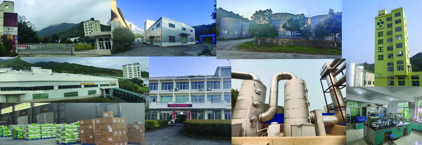 Het korte Butyraat van Kettings Vetzuren