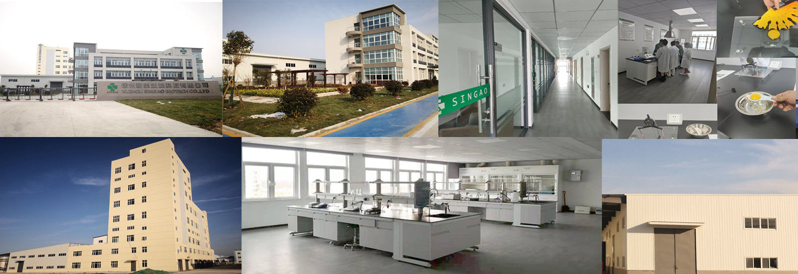 Met een laag bedekt Natriumbutyraat