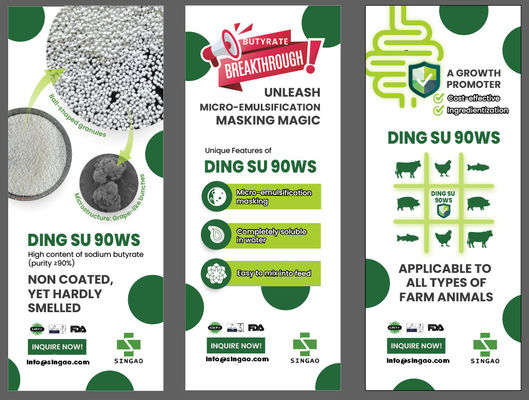 Geurloos, niet-gecoat natriumbutyraat 90% voor Aqua