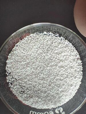 Geurloos en bolvormig, ongecoat 80% natriumbutyraat voor pluimvee