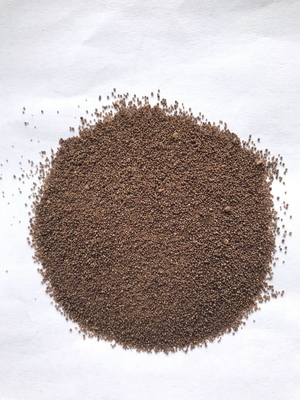 probiotica Clostridium butyricum