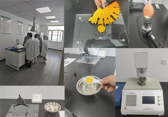 Van het de Korrel Microencapsulated Natrium van de balvorm Butyraat 90% voor Huisdieren