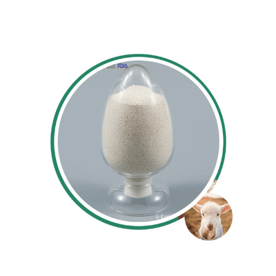 Langzame afgifte 80% bedekt calciumbutyraat 50% plus natriumbutyraat 30% CAS 5743-36-2 Voor Aqua
